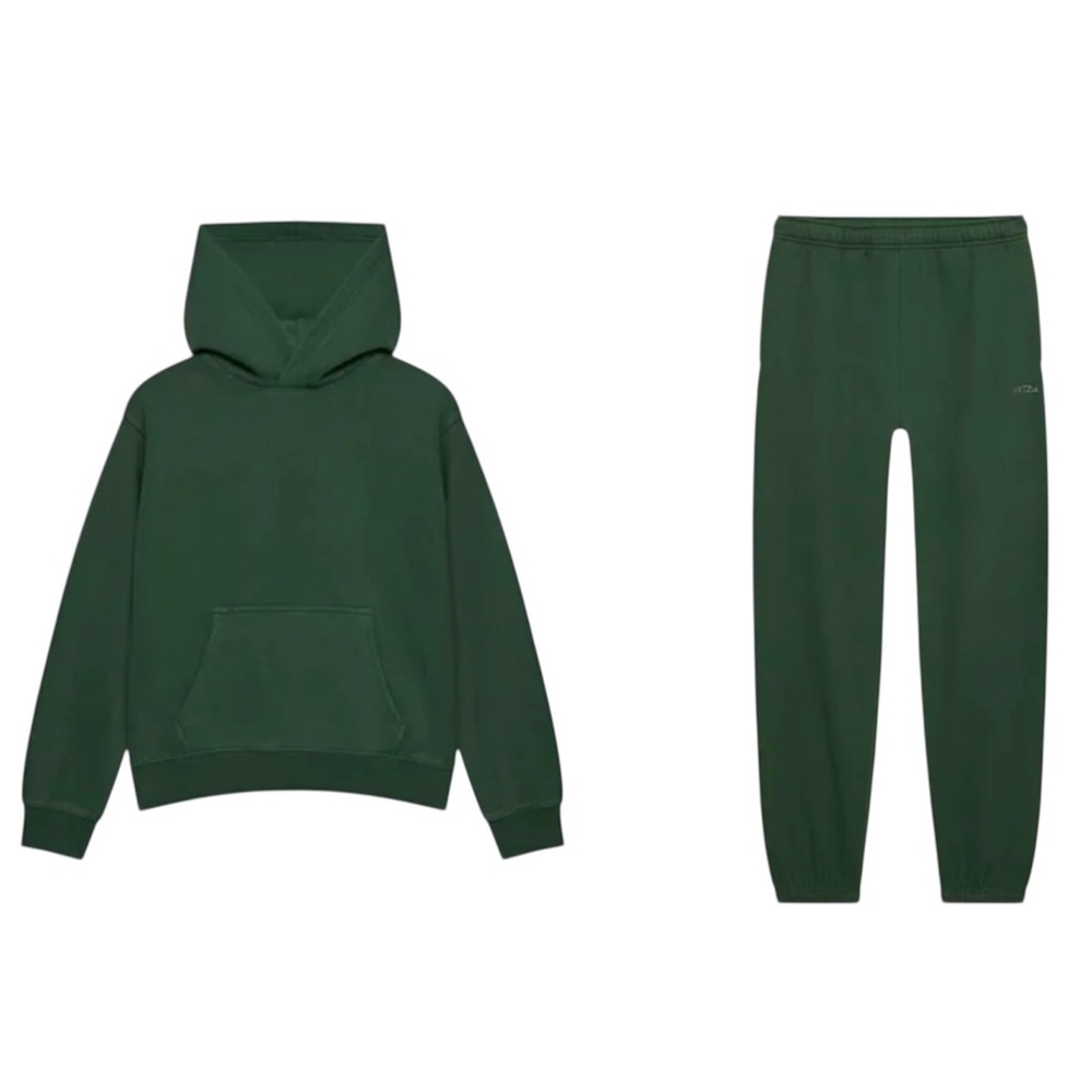 NEW ARITZIA TNA Sweatfleece Hoodie and Sweatpants Set in Campus Green